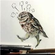 Offro lezioni di disegno realistico e colorazione